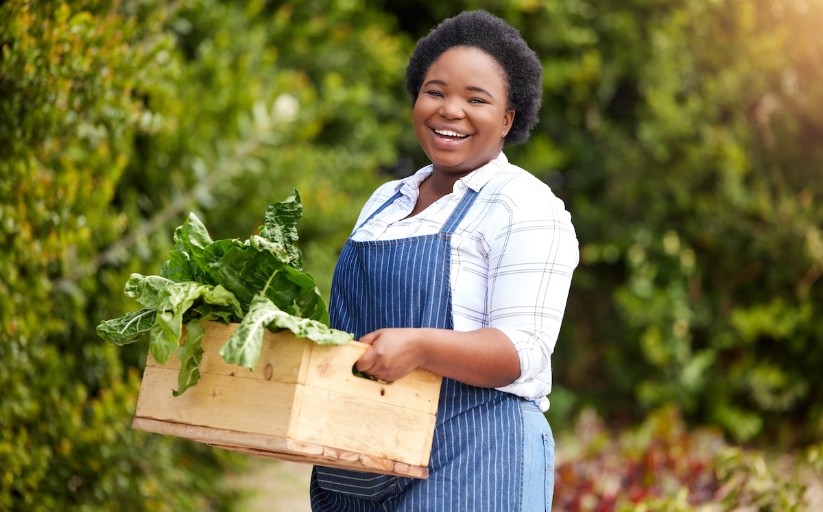 South Africa's agricultural trade surplus up 20% y/y in Q1, 2024