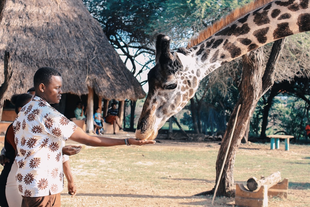 Black man on a safari